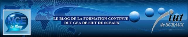 Le Blog de la FC - GEA - I.U.T de Sceaux 